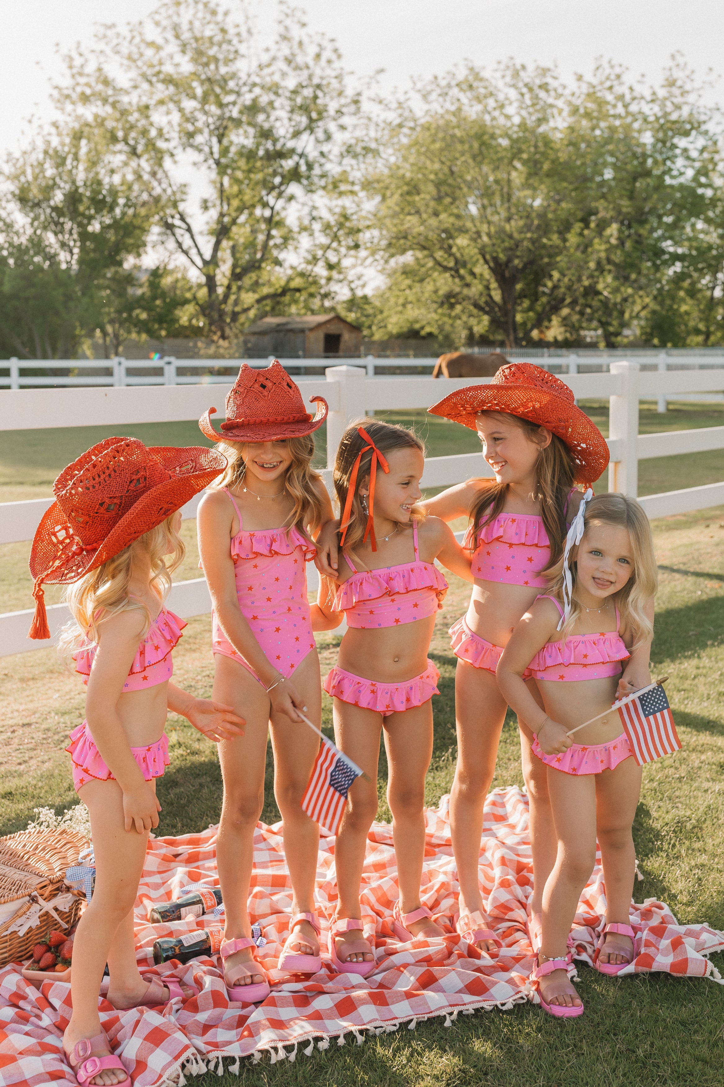 Pink and Patriotic Bikini