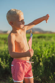 Red Gingham Swim Trunk